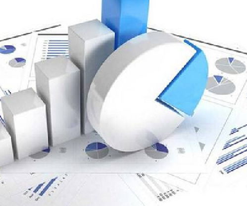 新疆项目投资价值未来收益及债务履约能力评级报告商家